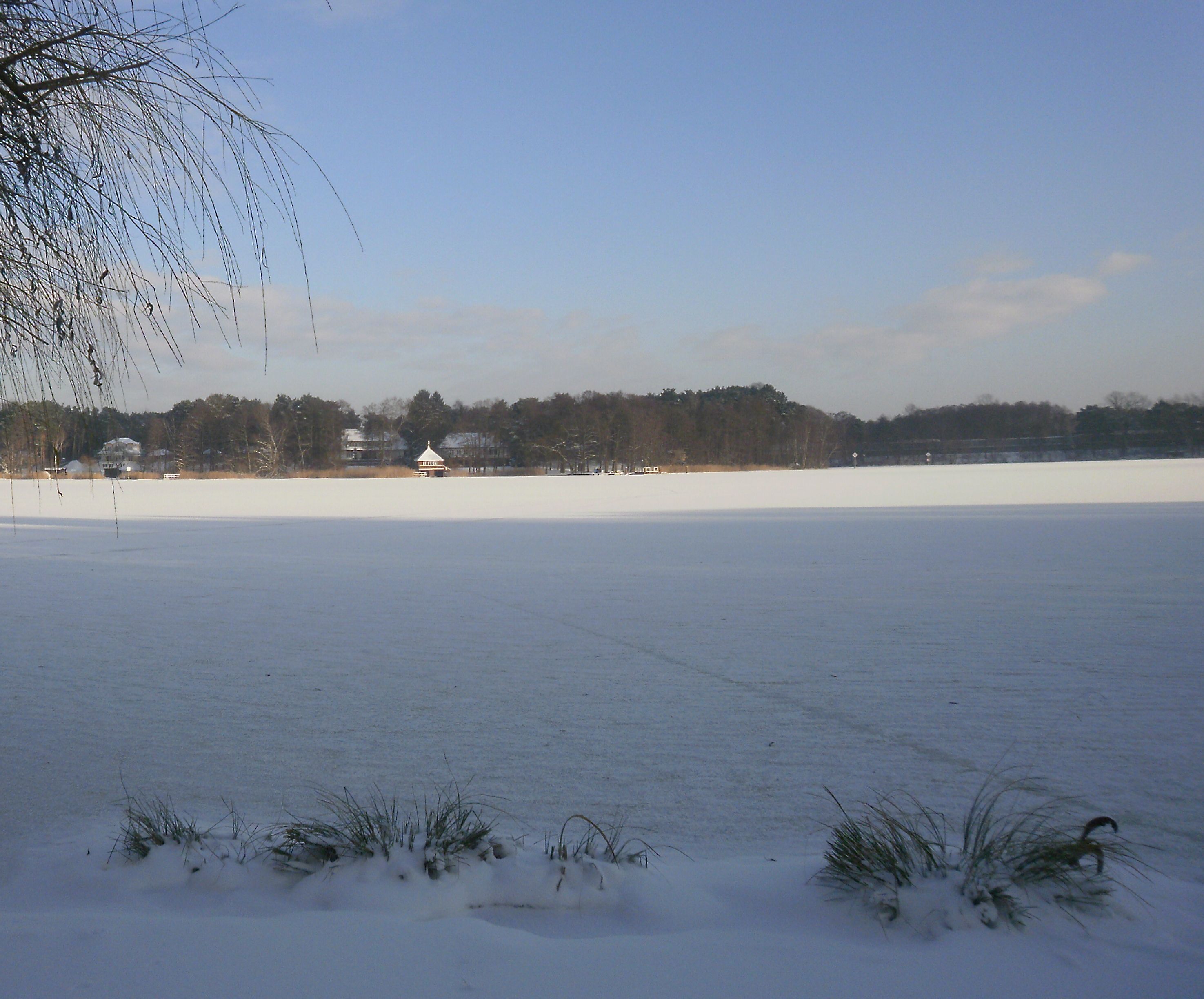 Aussicht auf den schneebedeckten See im Winter vom Ferienhaus Drei am Zemminsee aus