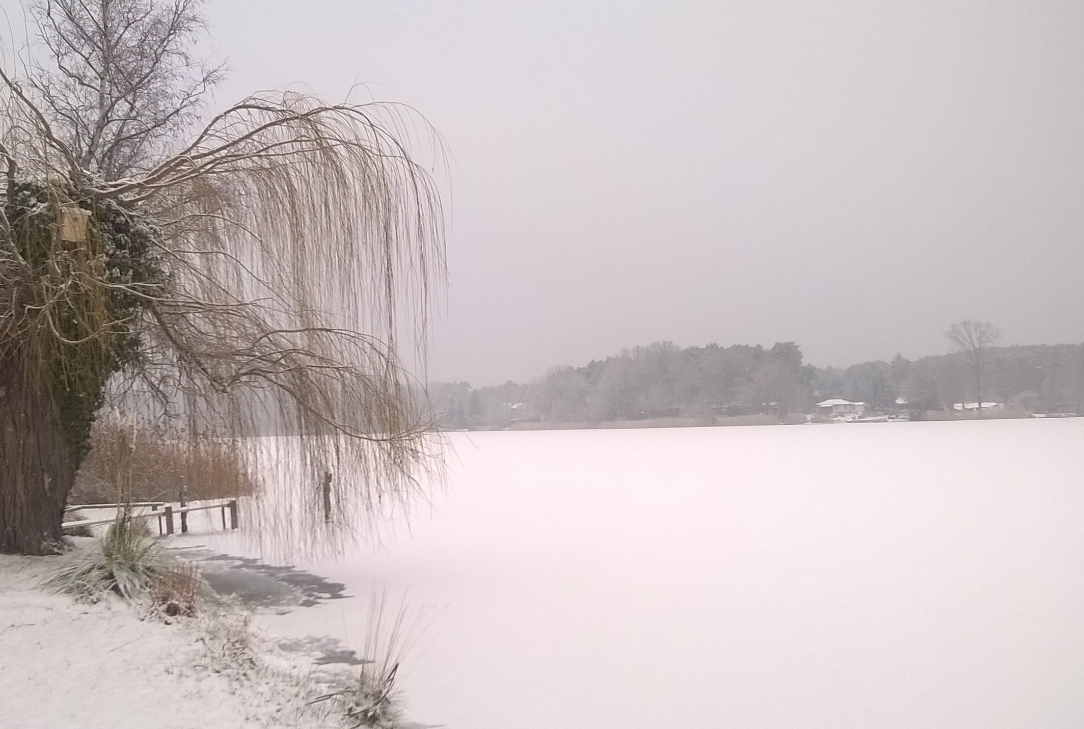 mit Schnee bedeckter Zemminsee im Winter